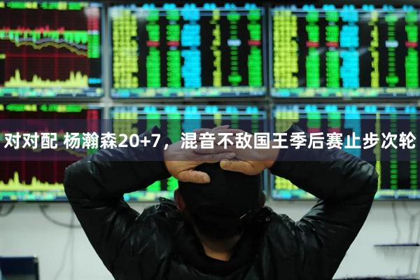 对对配 杨瀚森20+7，混音不敌国王季后赛止步次轮