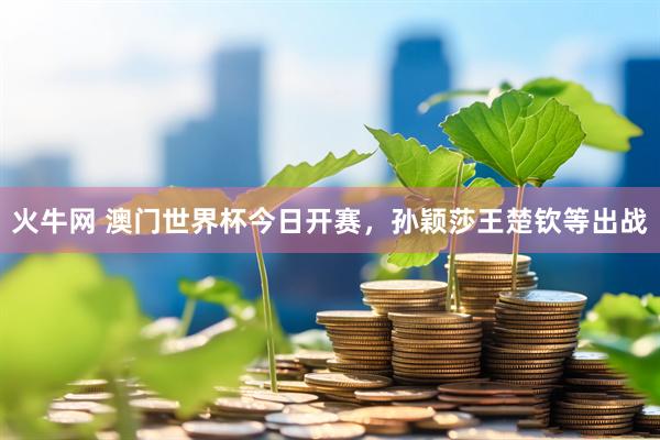 火牛网 澳门世界杯今日开赛，孙颖莎王楚钦等出战